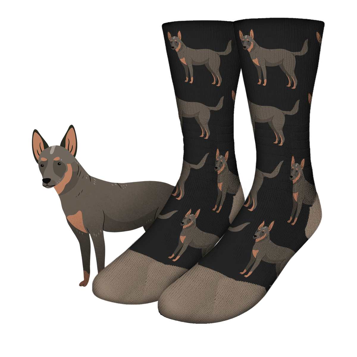 australian cattle socks